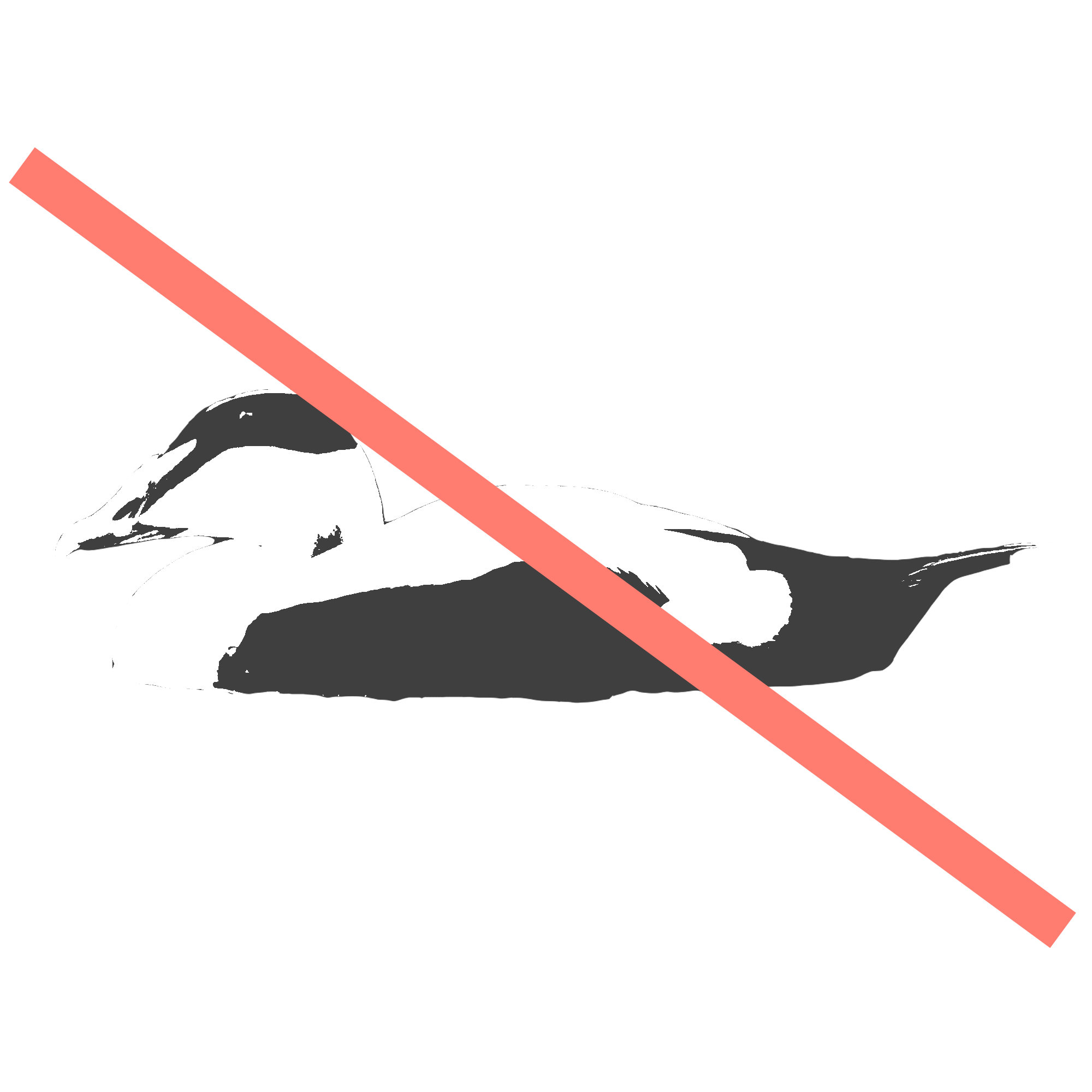 eider.png