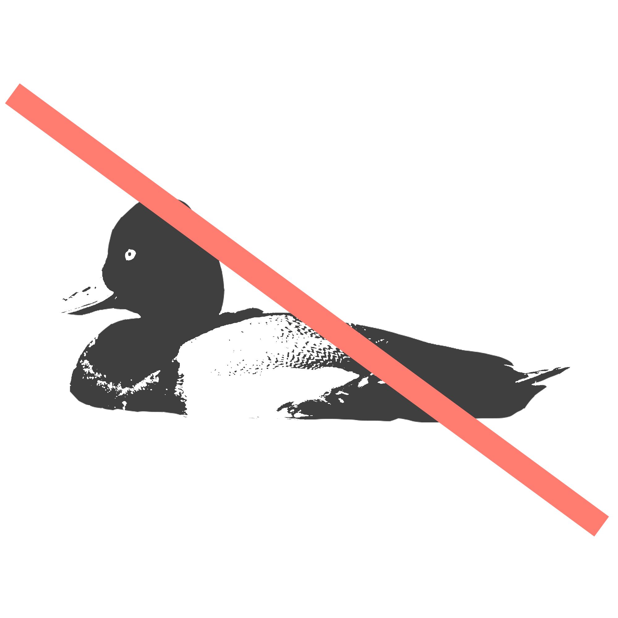 lesser scaup.png