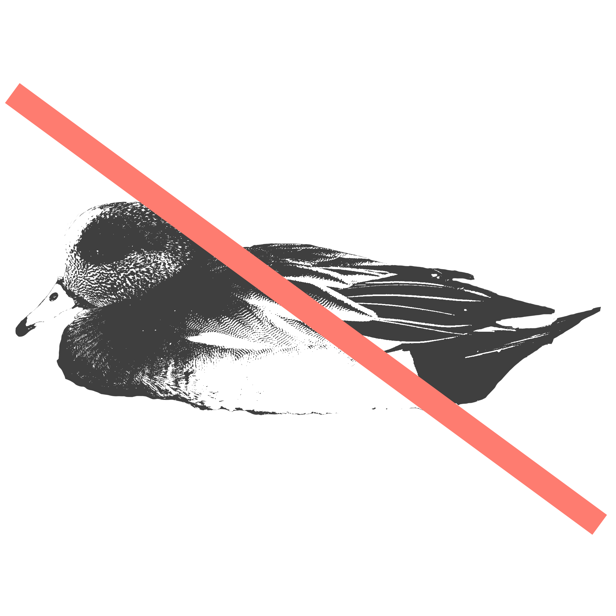 Widgeon.png