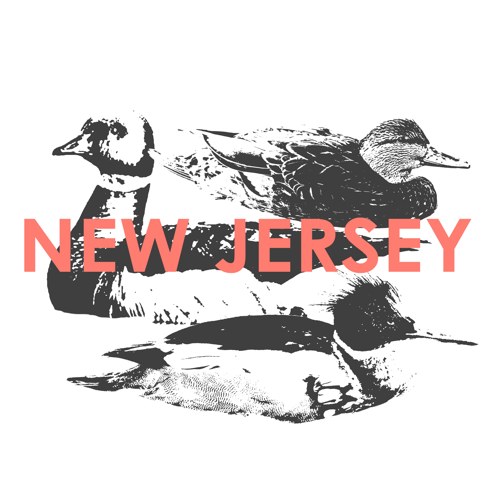 NEW JERSEY.png