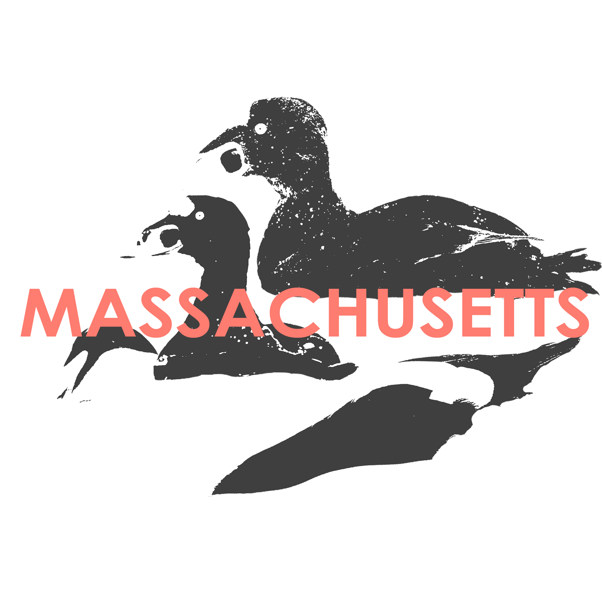 MASS.png