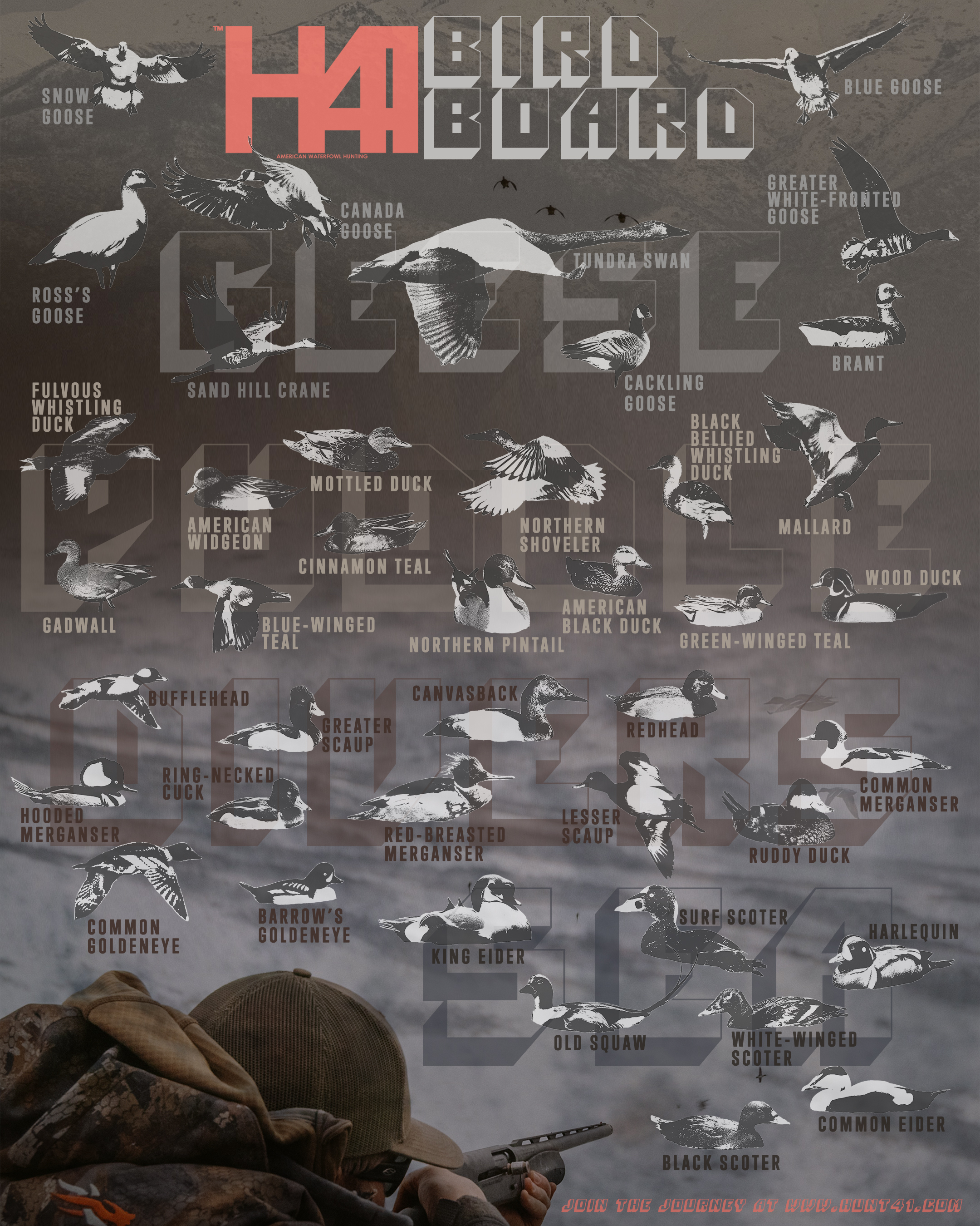 BIRD BOARD!