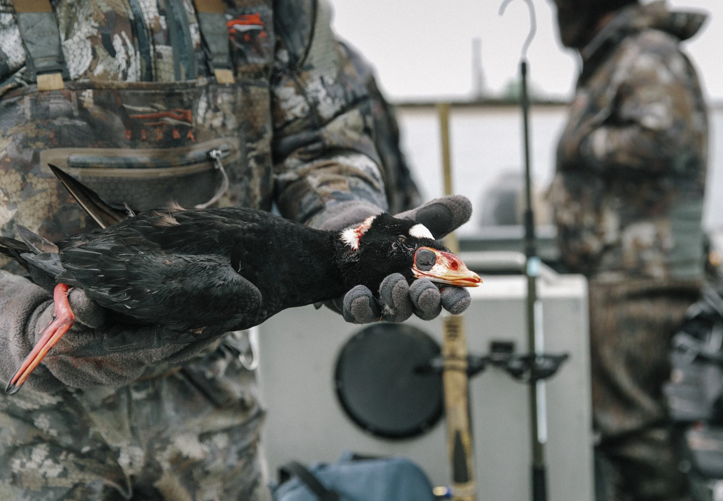 Screen Shot 2019-02-26 at 12.43.14 PM.jpg