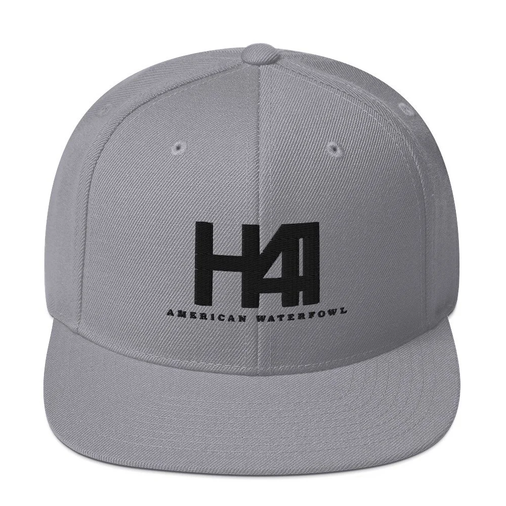 classic-snapback-silver-front-6a21ddae65972.jpg