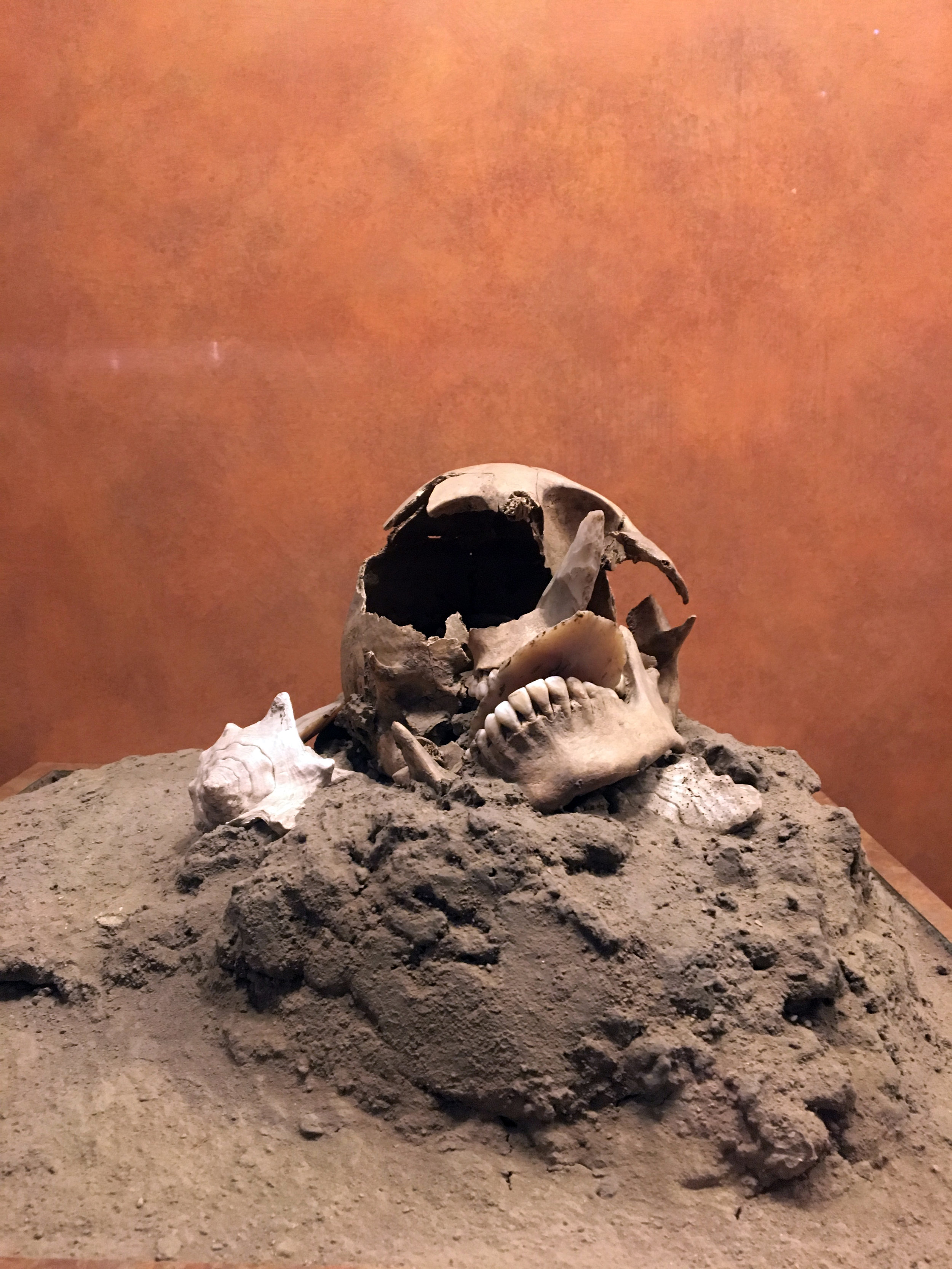 At the National Museum of Anthropology.