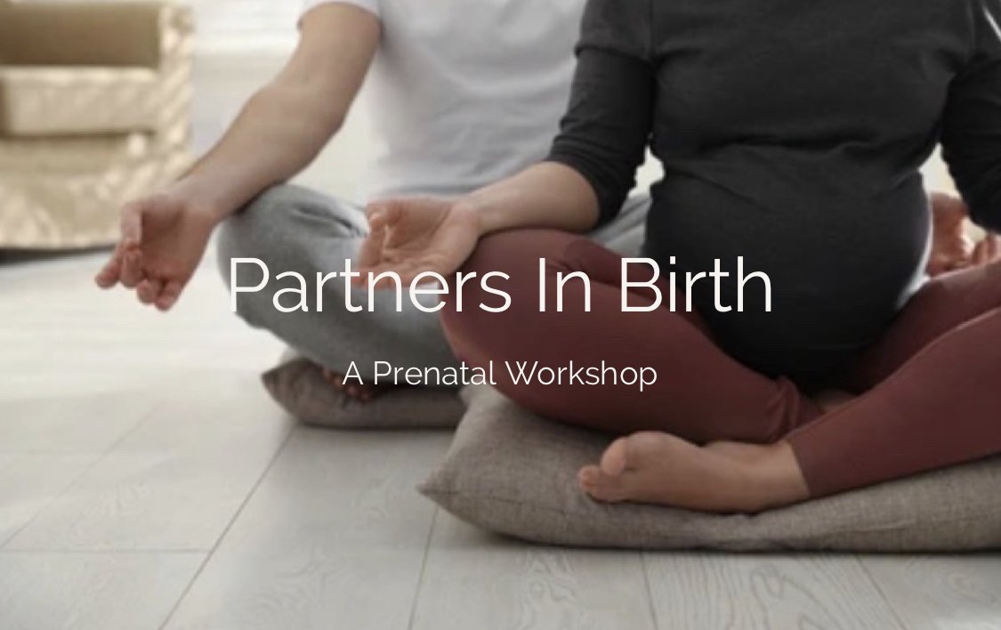 Partners In Birth