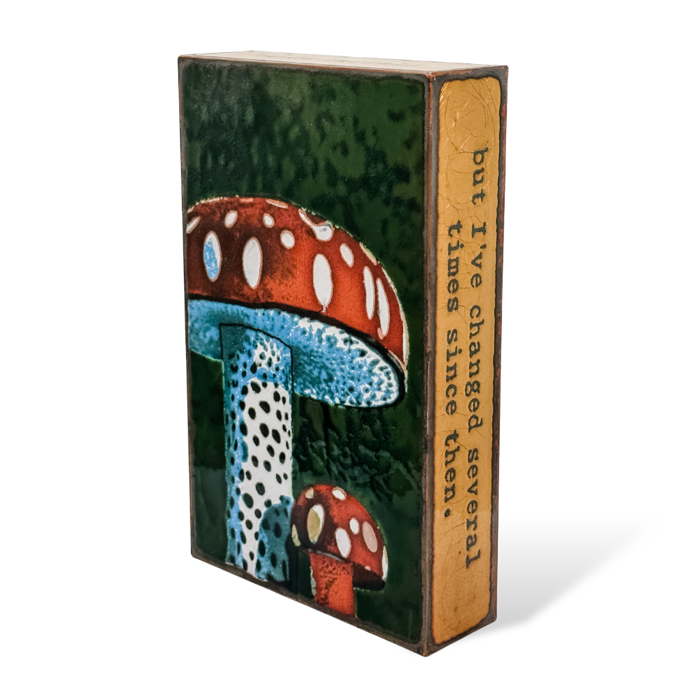 276 Mushroom Right.PNG