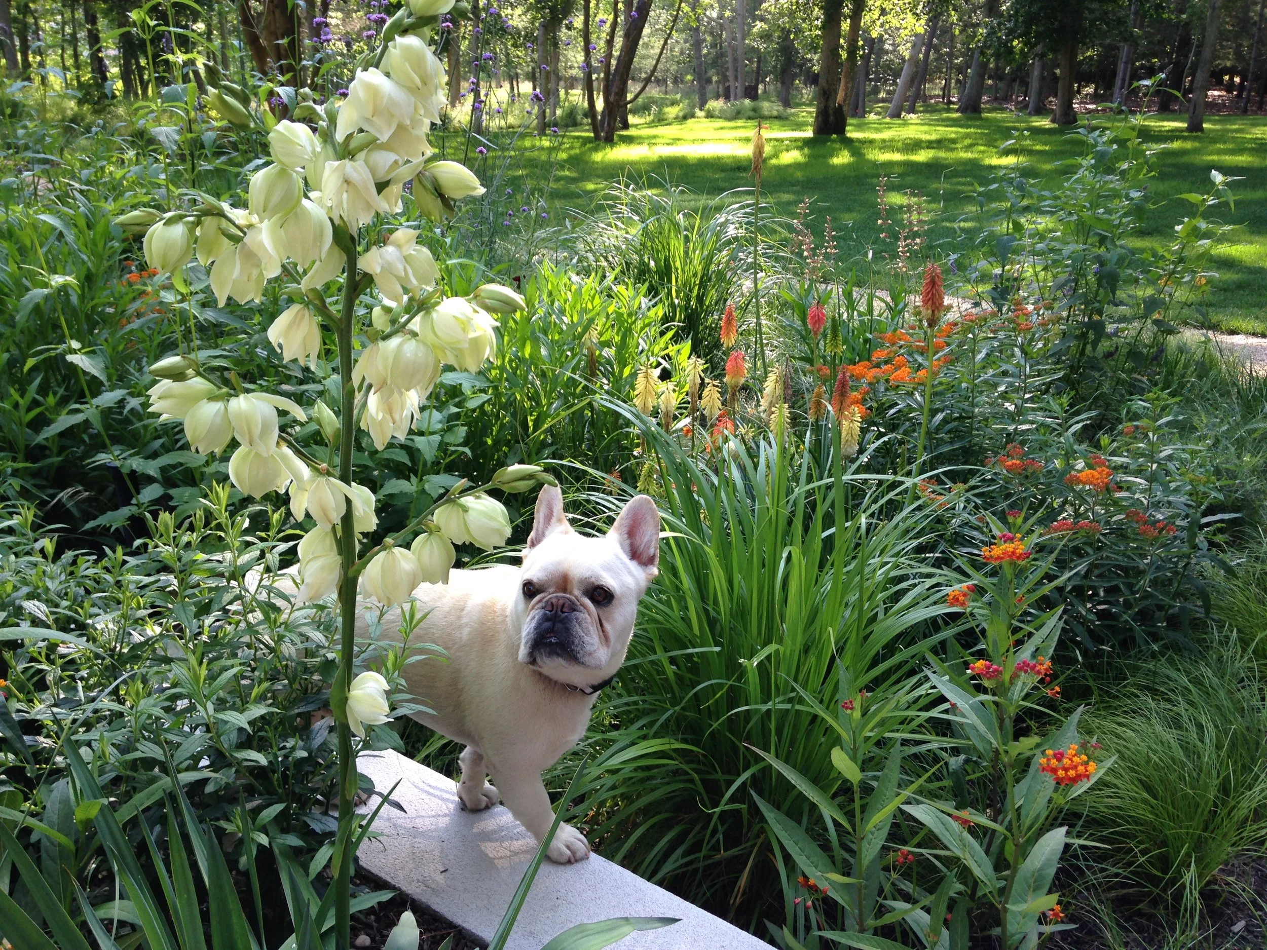 Georgica Pond Garden