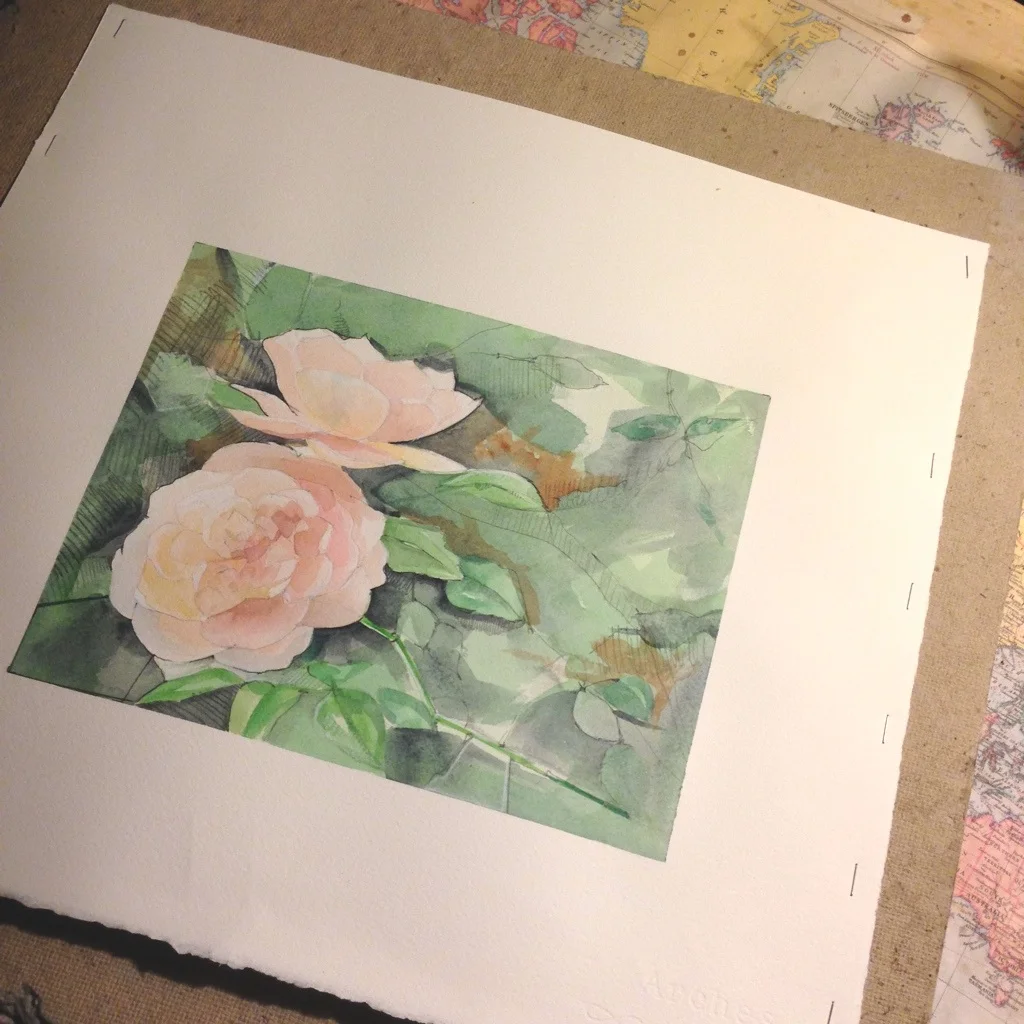 ROSE WATERCOLOR