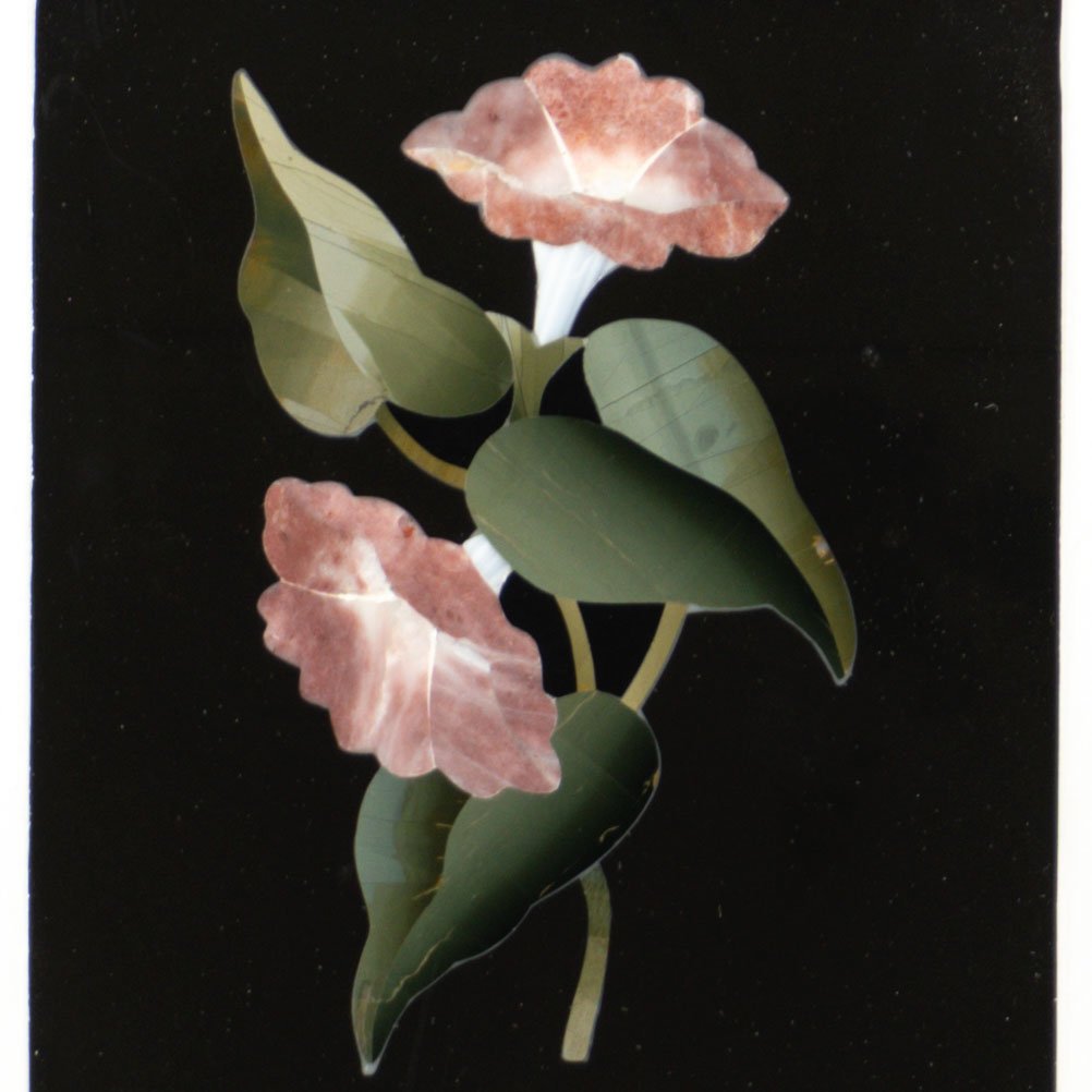 6D3-QM(FI) - detail.jpg