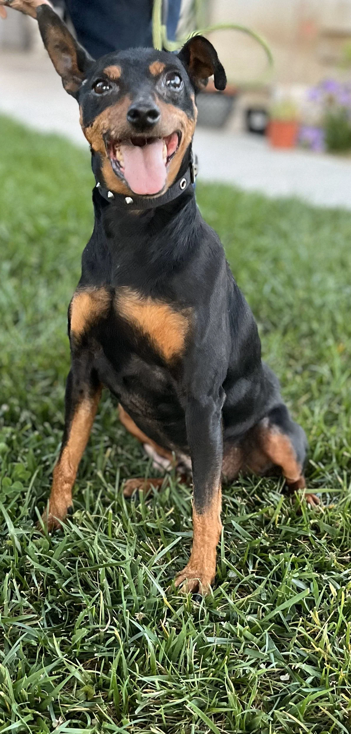 AMMO - MinPin