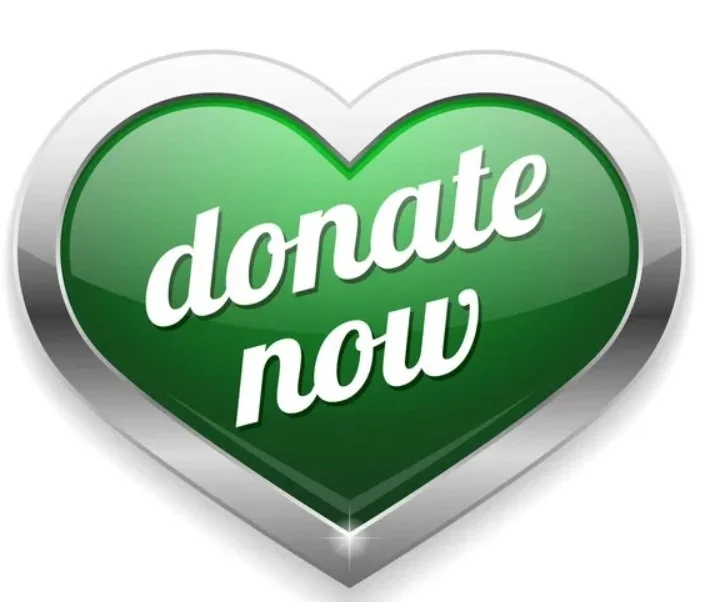 Donate to help us continue saving, rehabilitating, and training dogs in need!