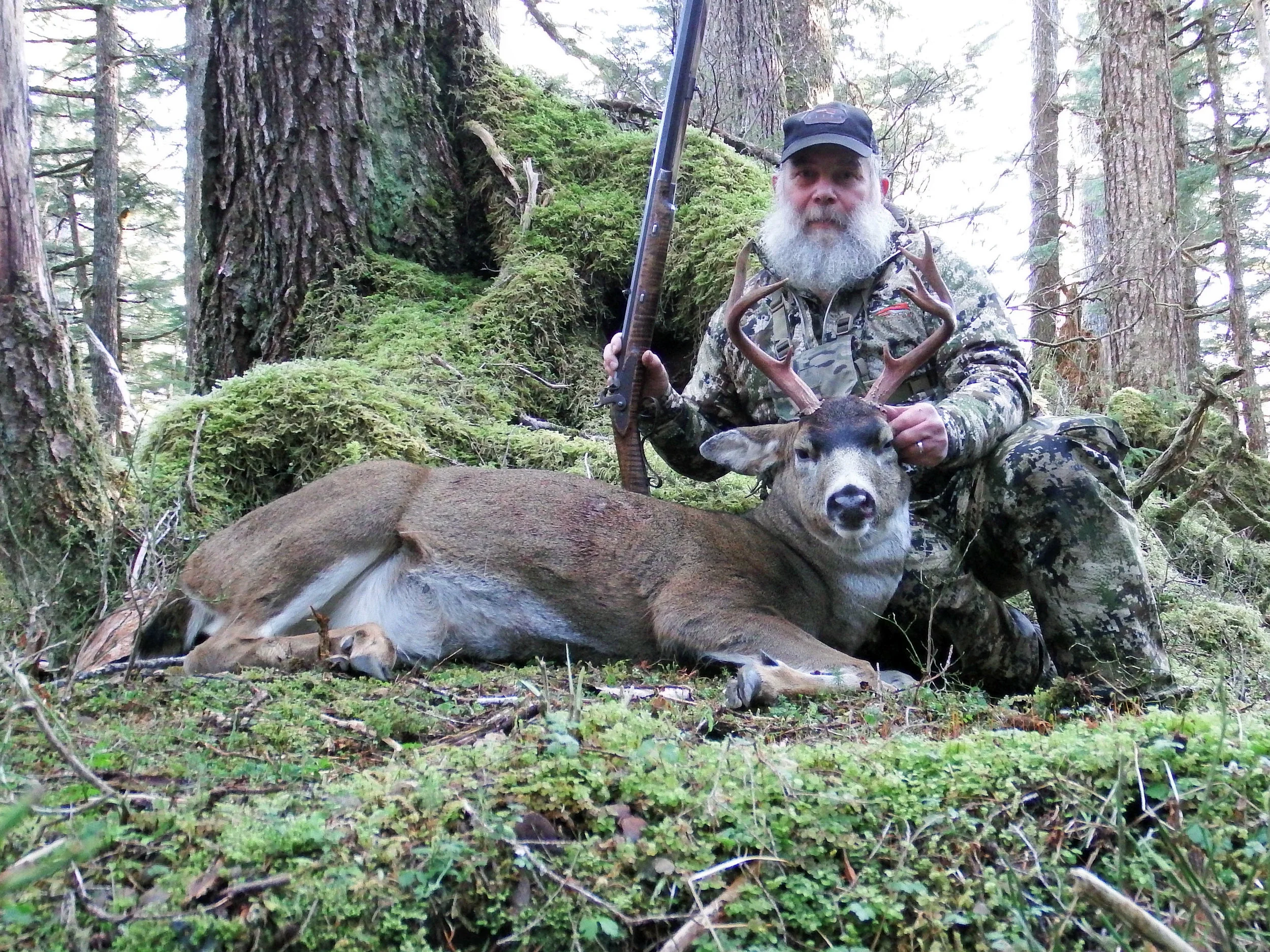 Sitka black-tailed deer buck
