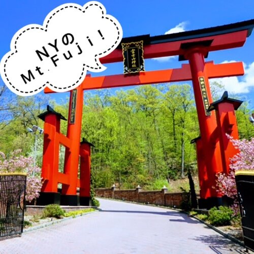 NYのMt. Fuji !
