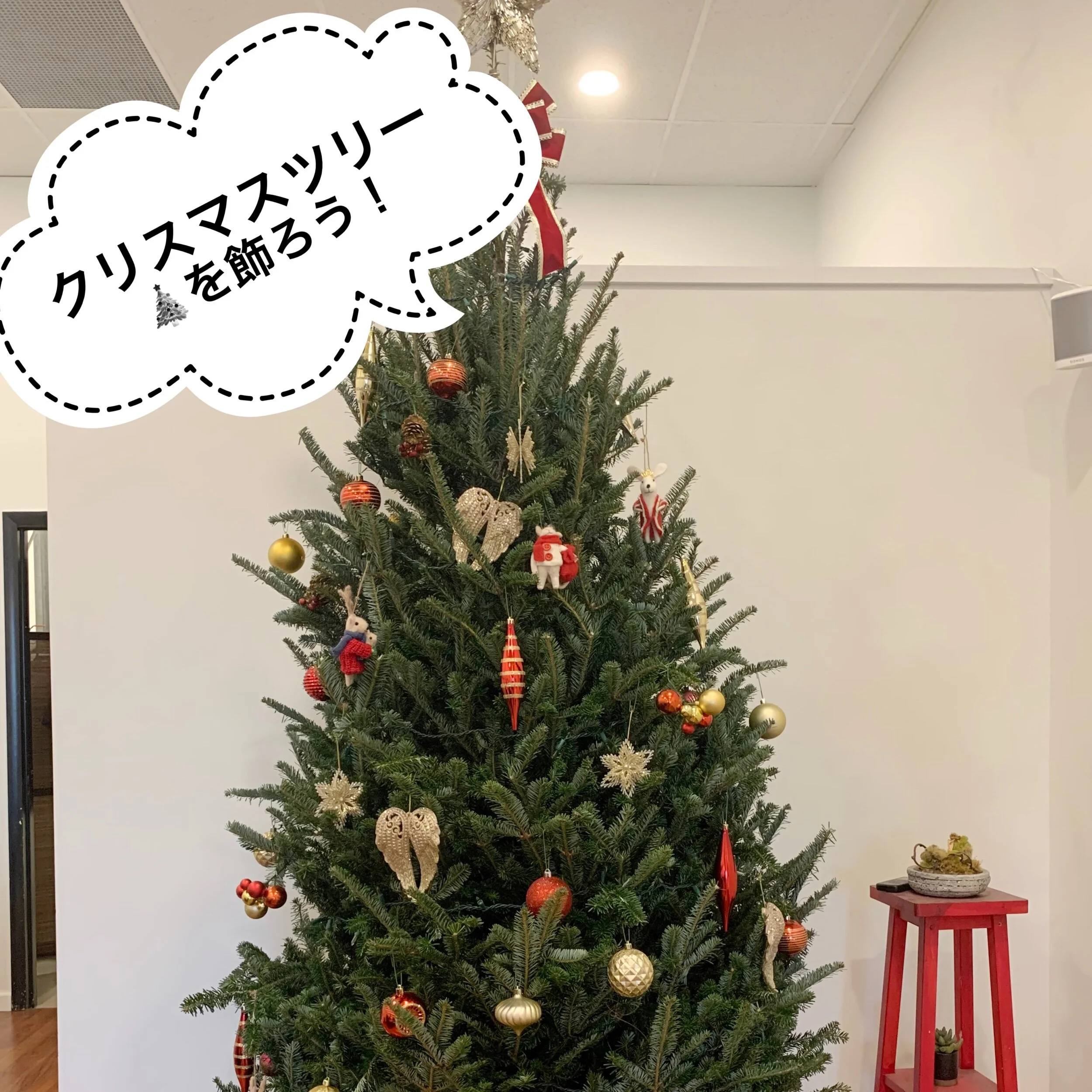 クリスマスツリーを飾ろう！