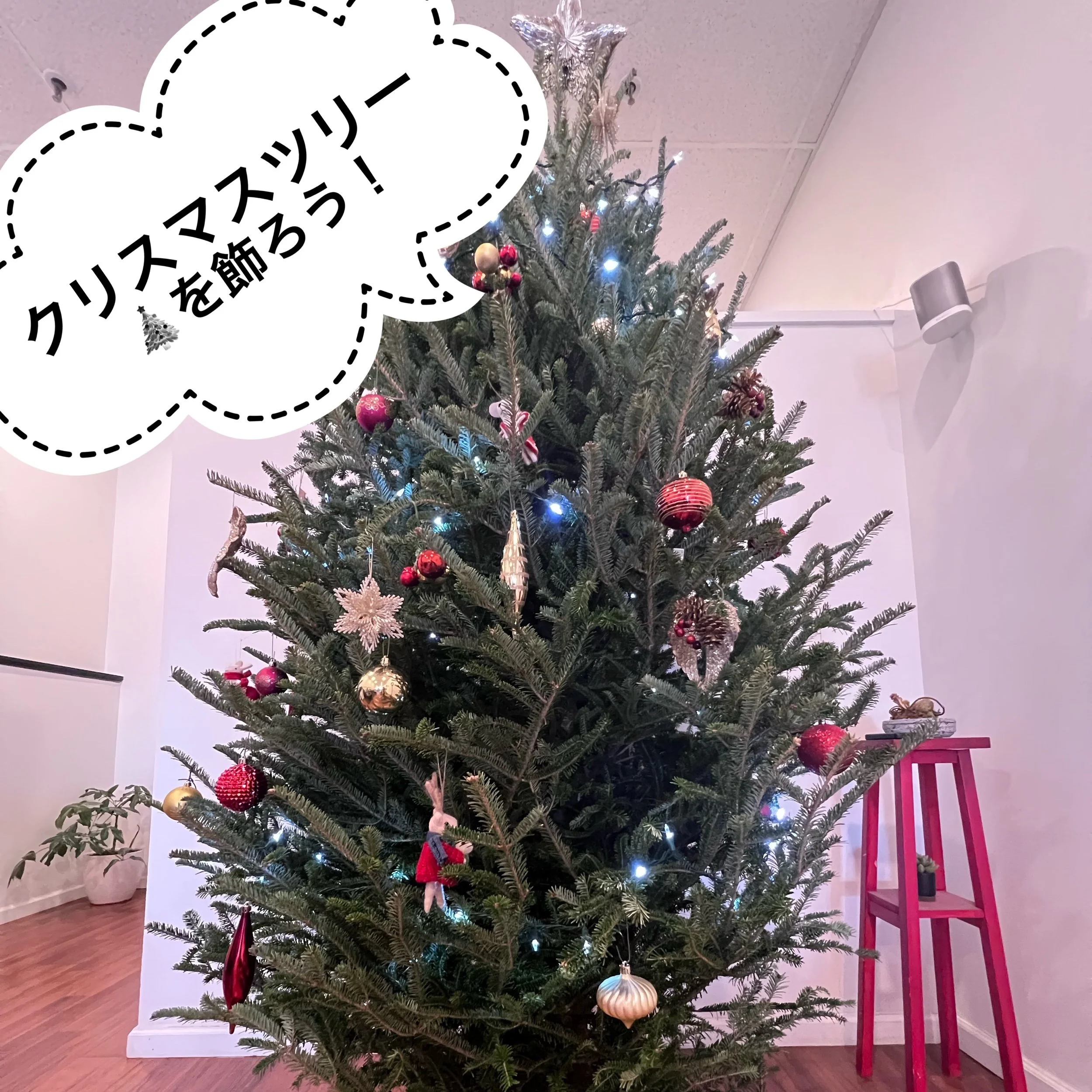クリスマスツリー🎄を飾ろう！