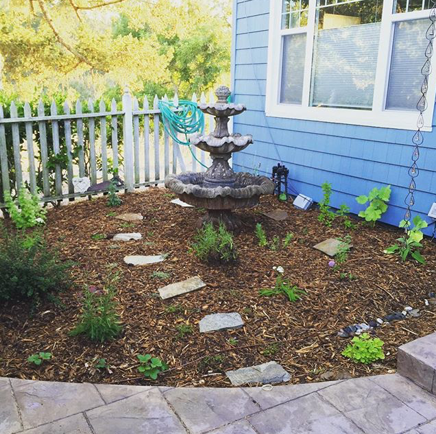 Front yard makeover. Santa Rosa, 2016
