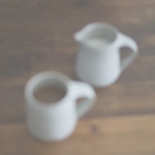 👎 Example of a blurry image