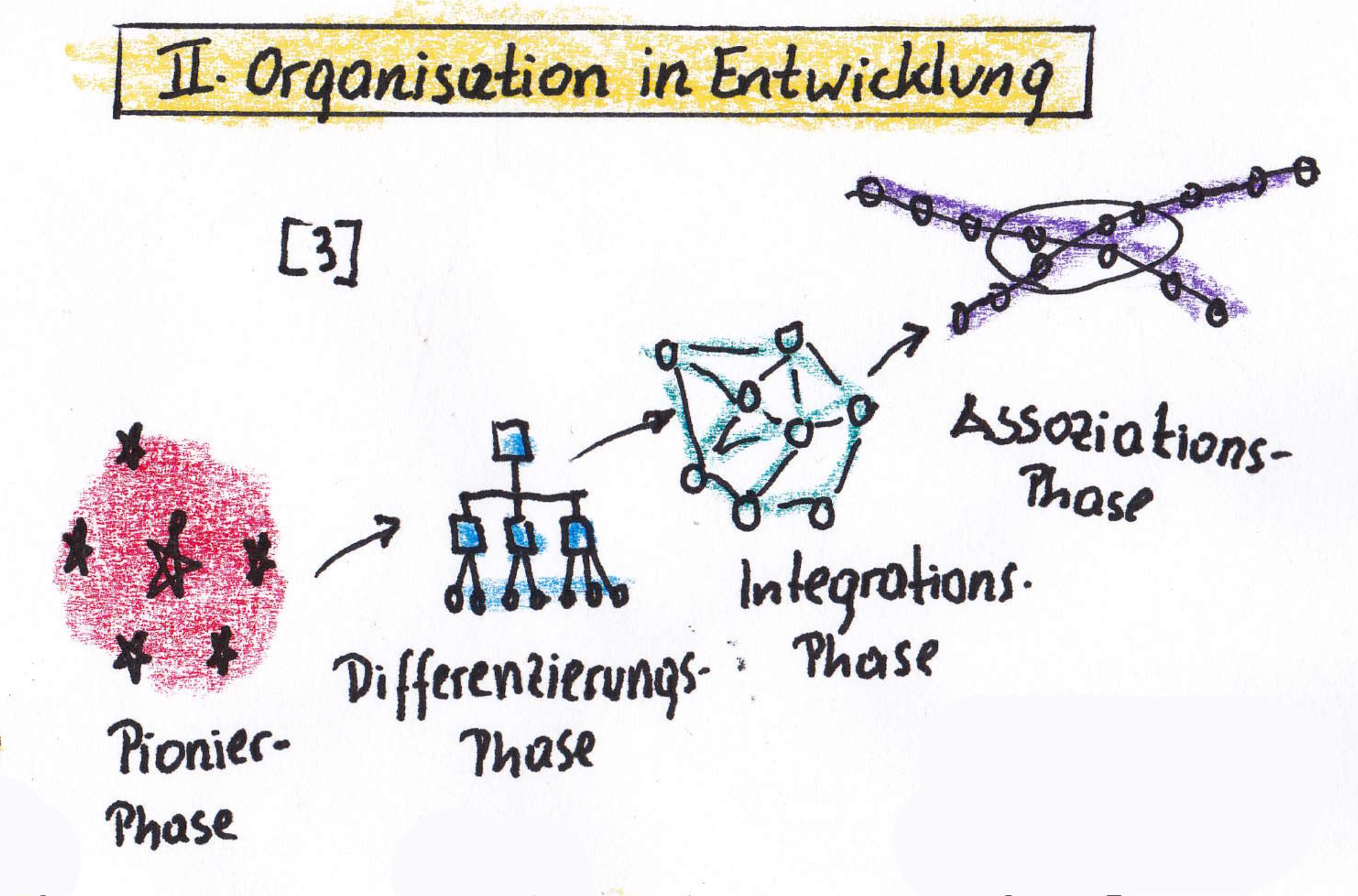 2 Organisation in Entwicklung.png