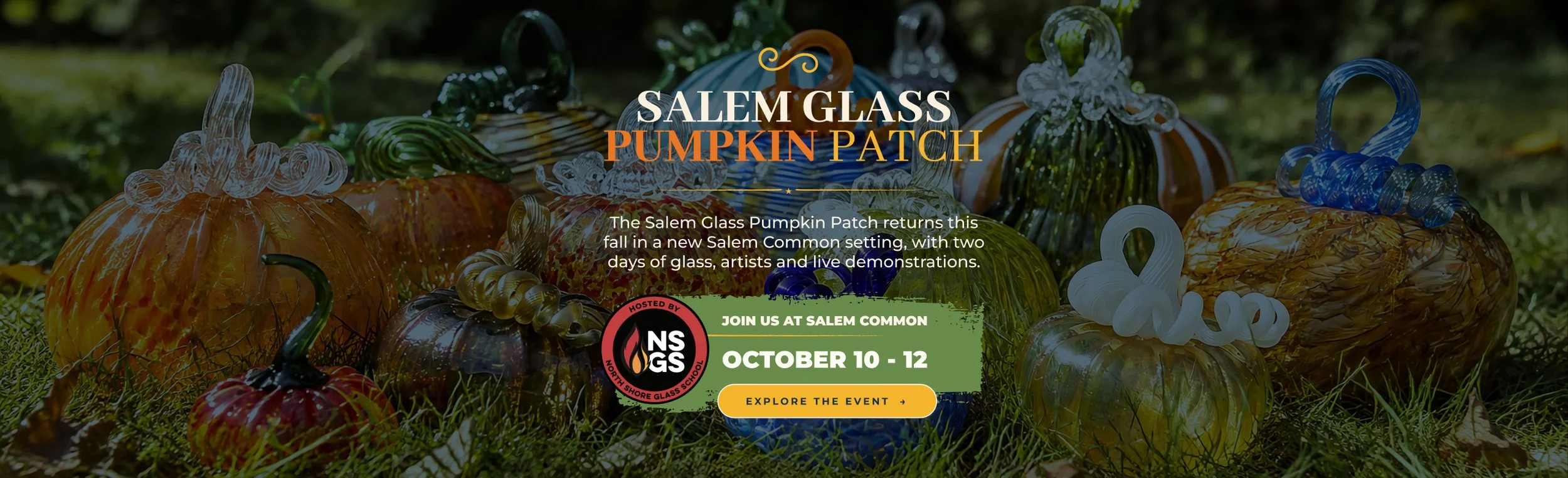Salem Glass 2026 Website Hero.jpg