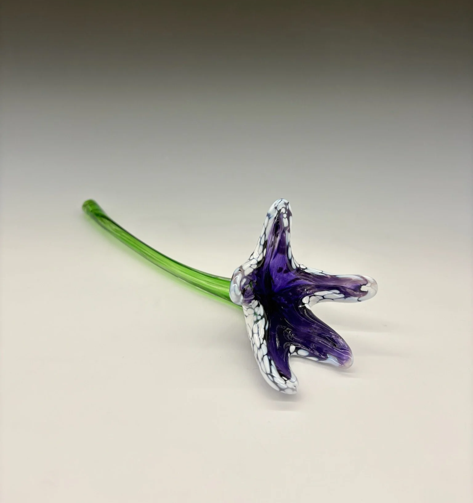 IMG_0885.png