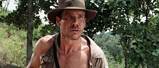 indiana-jones-S0T2rt.gif