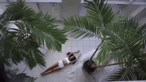 giphy-1.gif