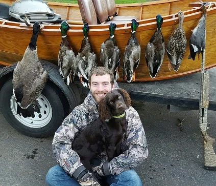 brittany shorthaired pointer