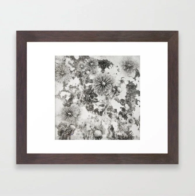 Screen Shot 2020-08-13 at 9.19.56  PM.JPG