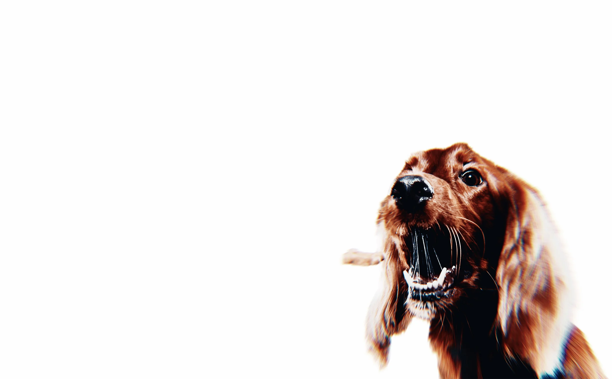 Lakeside_Website_Training_Banner.jpg