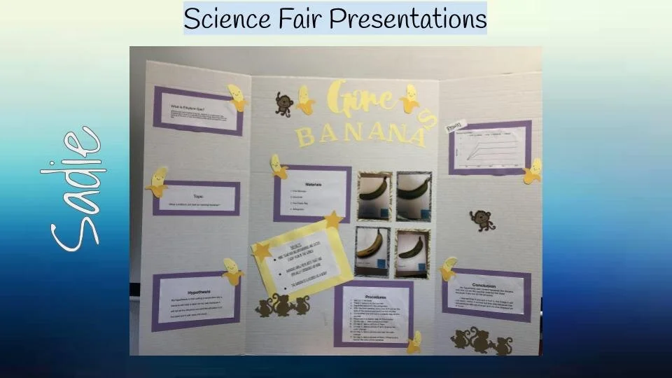 Sixth Grade Science Fair Coastline Christian Academy Sixth grade science fair coastline christian academy