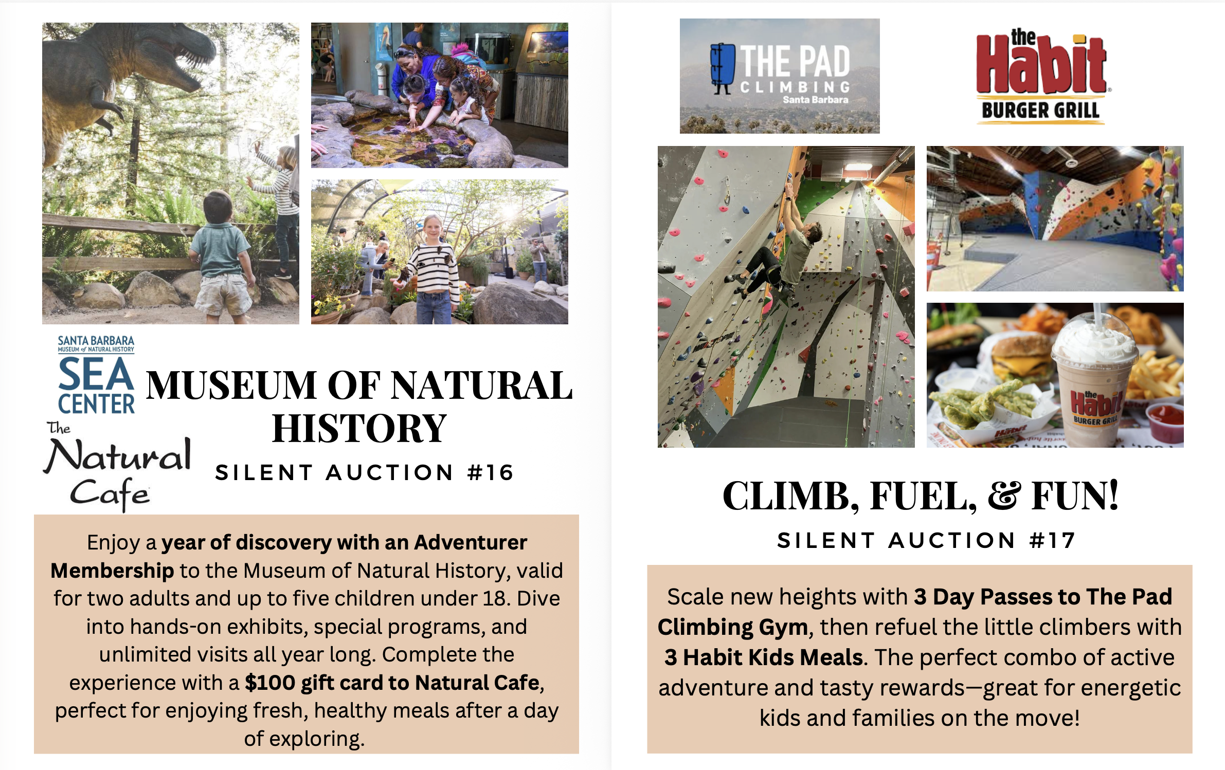 Screenshot 2026-01-29 at 11.17.56 AM.png