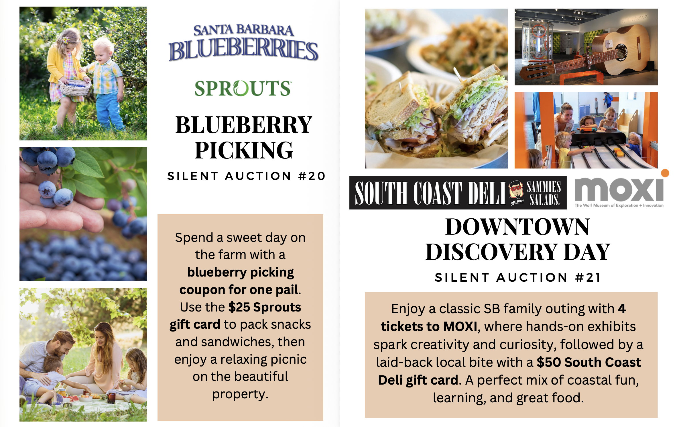 Screenshot 2026-01-29 at 11.18.12 AM.png