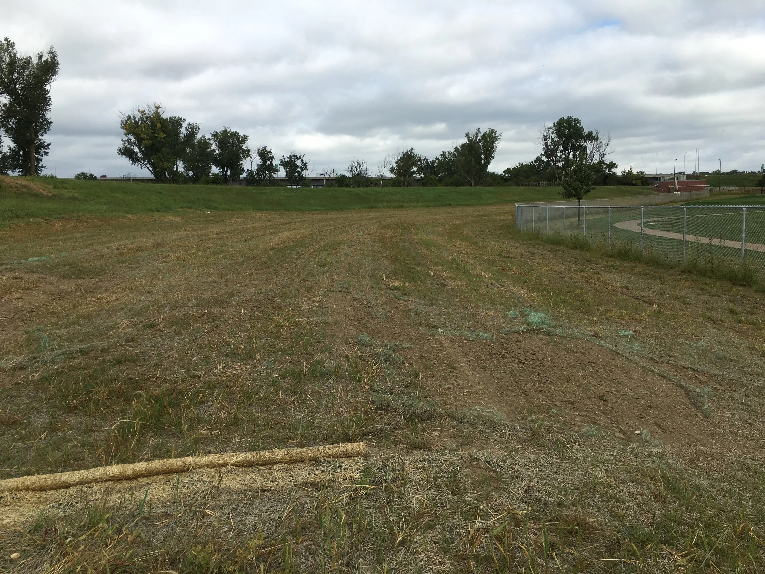 Seeding Sta A112+00 looking north.JPG