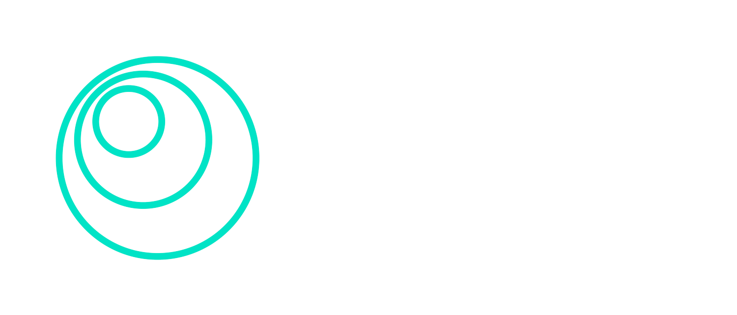 UK Volunteer Registration Form — Santa in the City