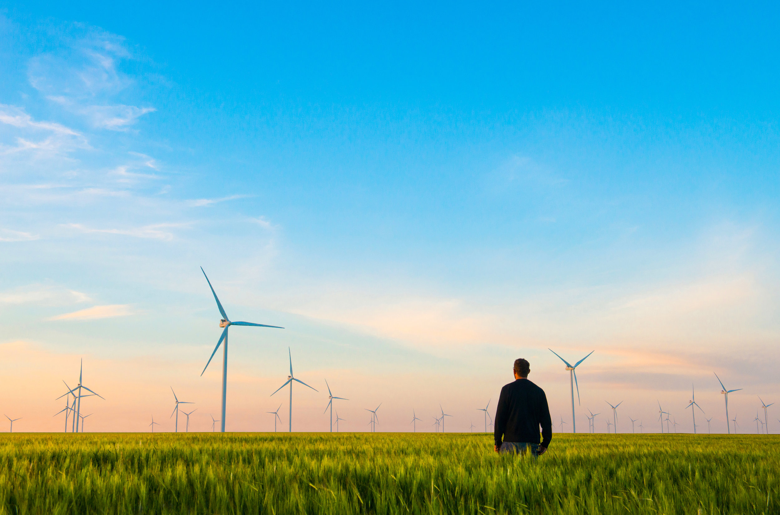 iStock-696242882.jpg