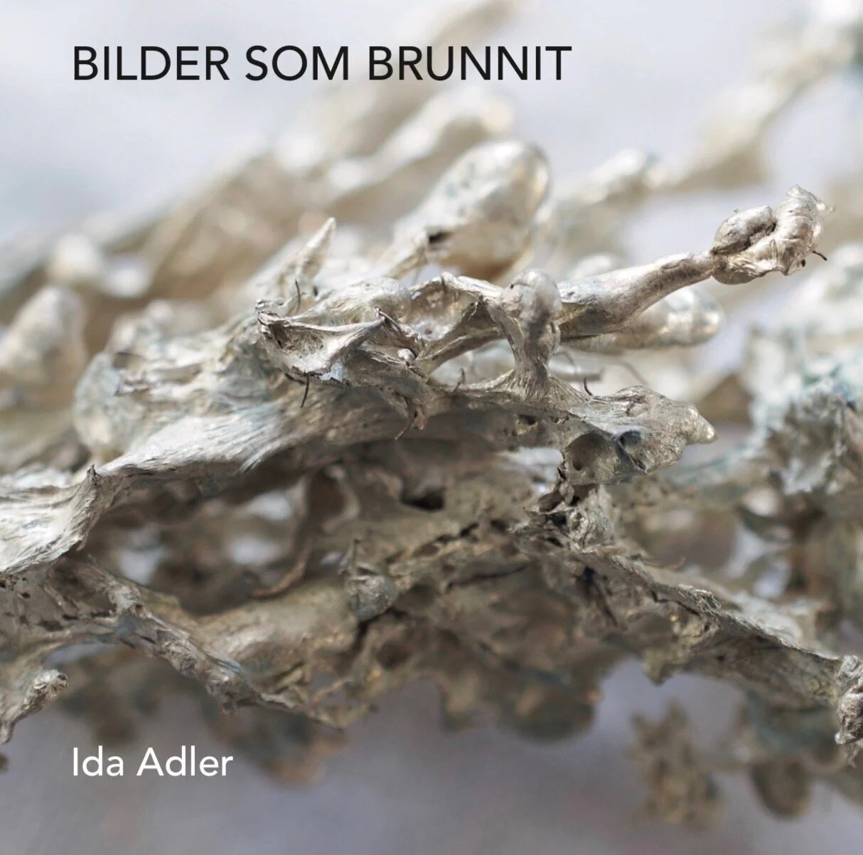 Omslagsbild+Bilder+som+brunnitJPEG.jpg
