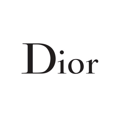 Dior Small Logo.jpeg