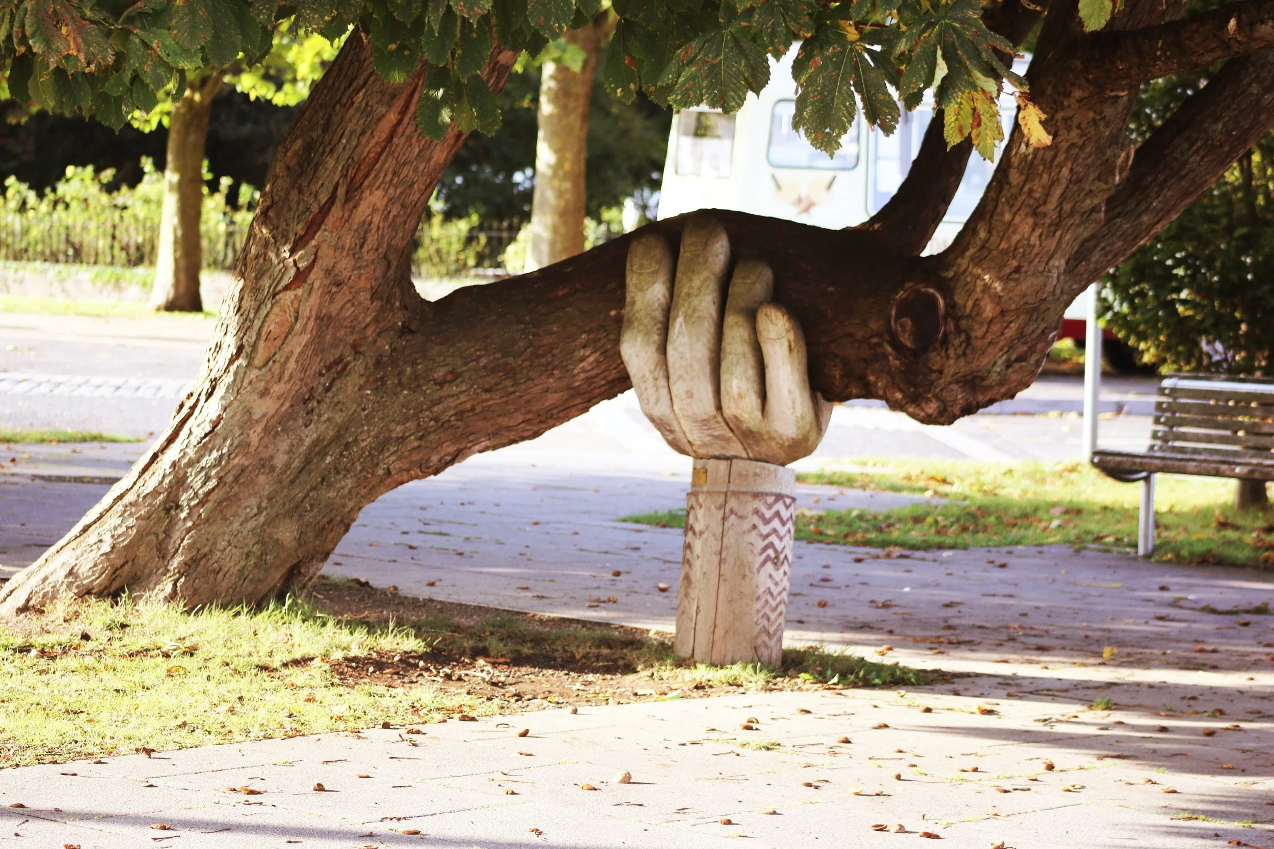 Help--tree.jpg