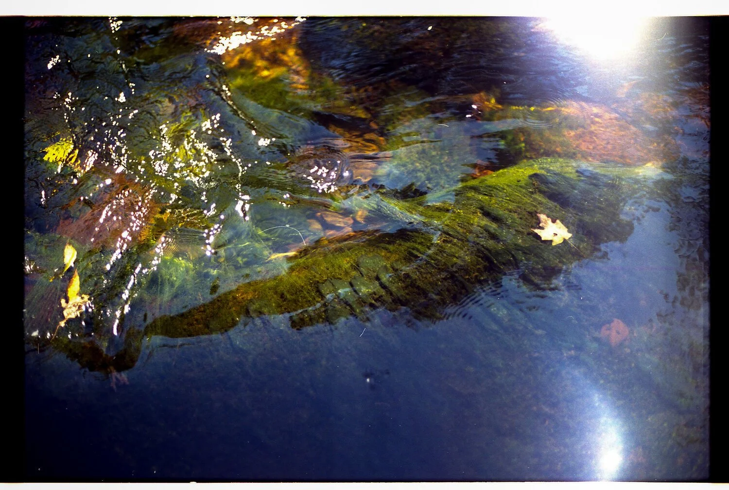 tohickon creek 02.jpg