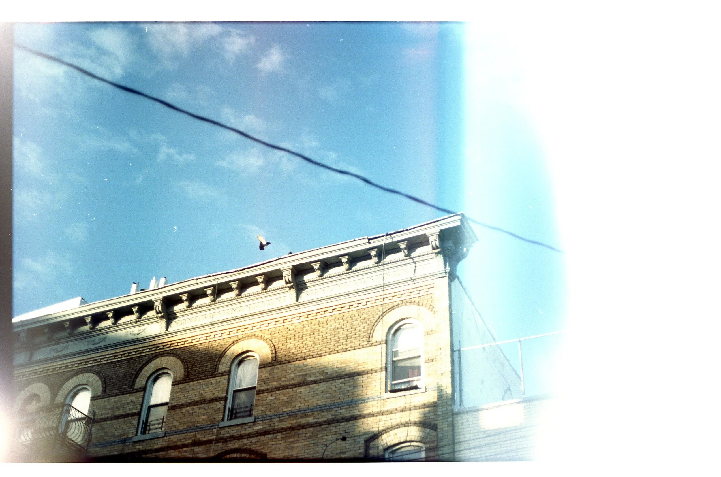 attempt at flight.jpg