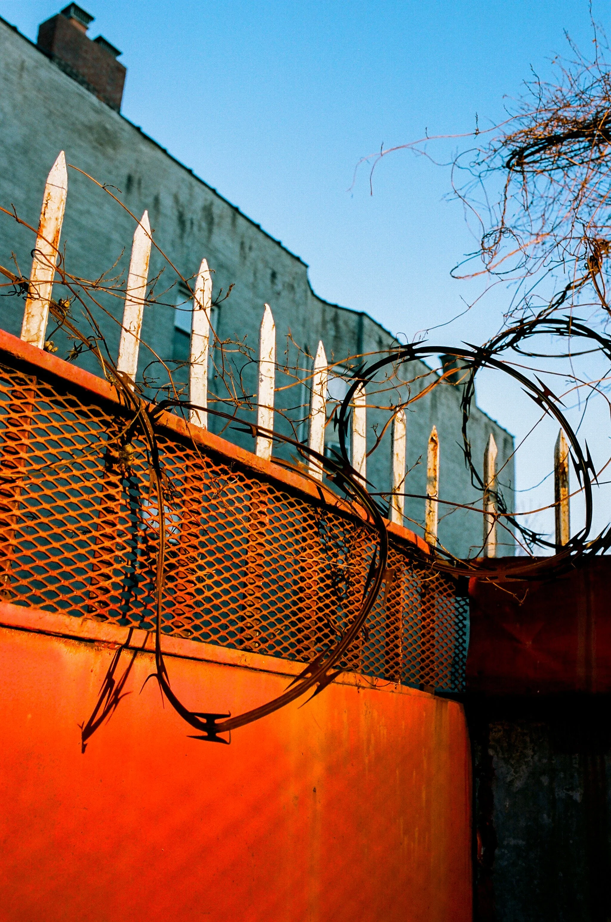 the garden gate on greene.jpg