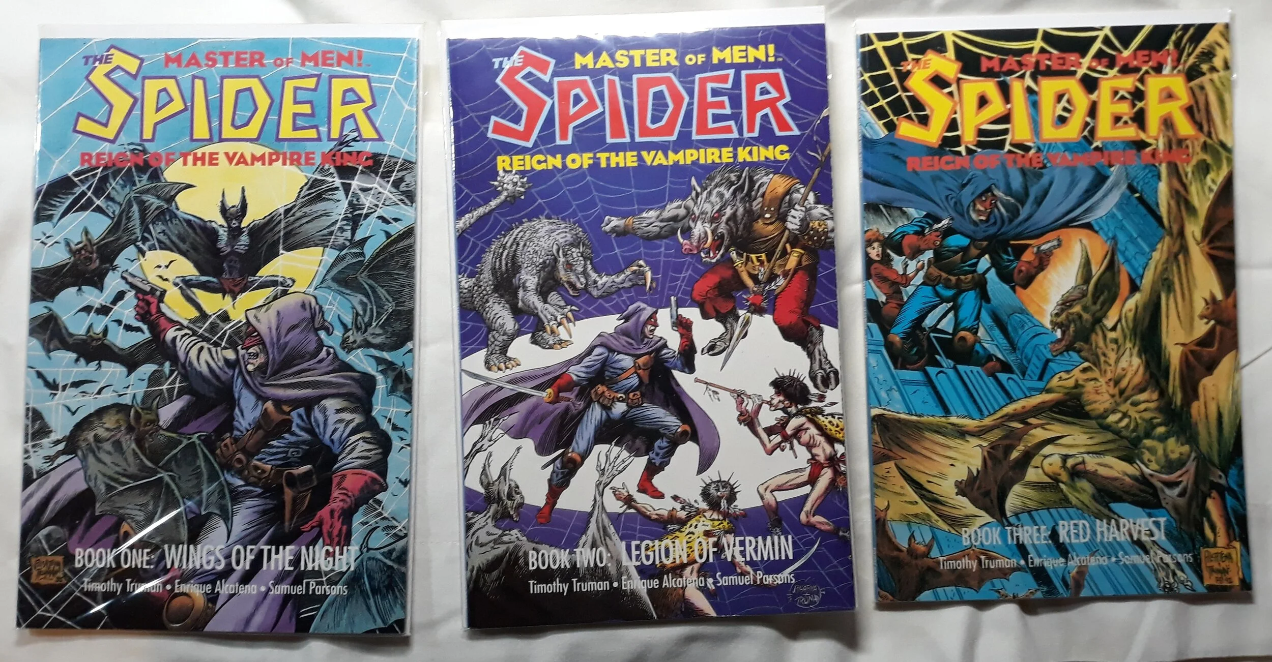The Spider Reign of Vampire King.jpg