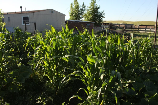 19_slimbuttekitchengarden.jpg