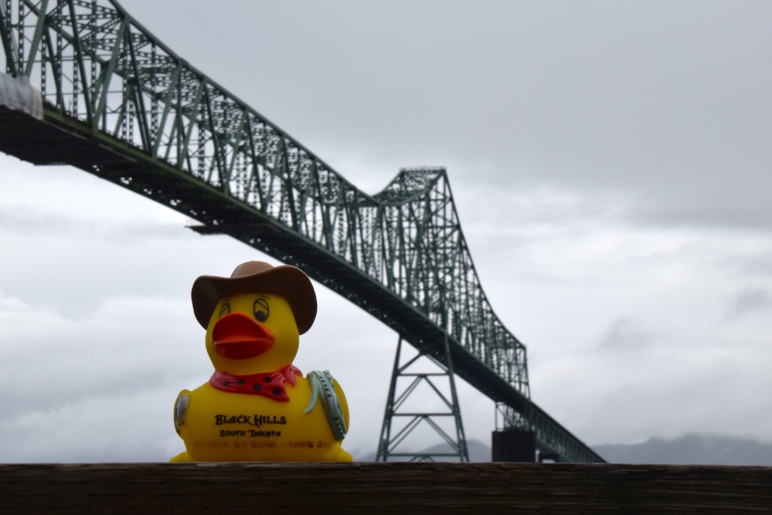 00_Astoria_02.jpg
