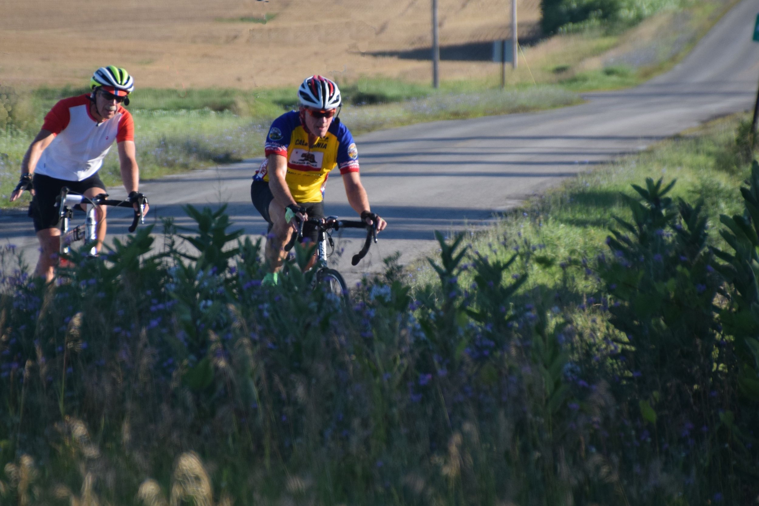 37_Mt Pleasant_02.jpg