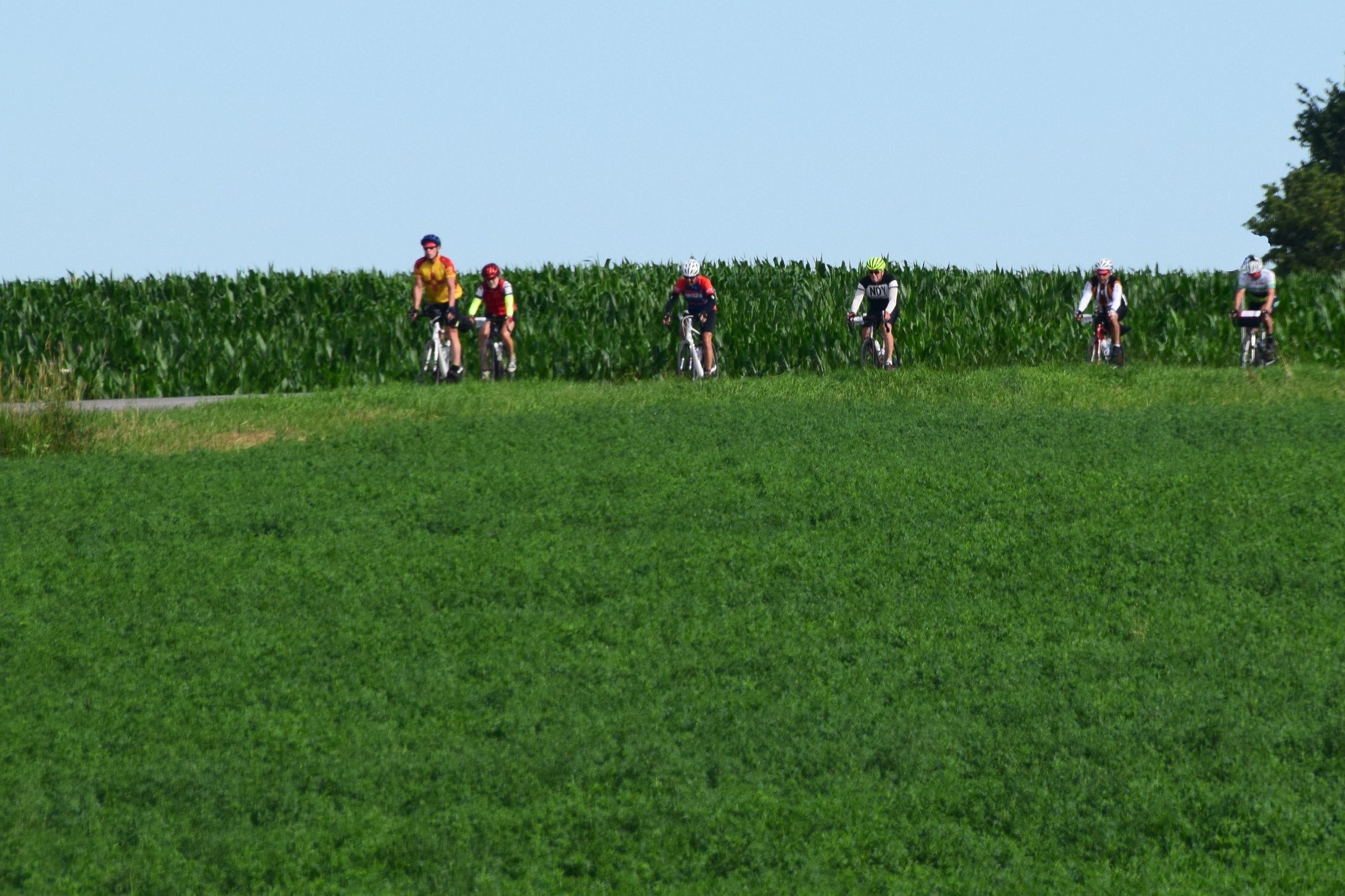 41_Brantford_08.jpg