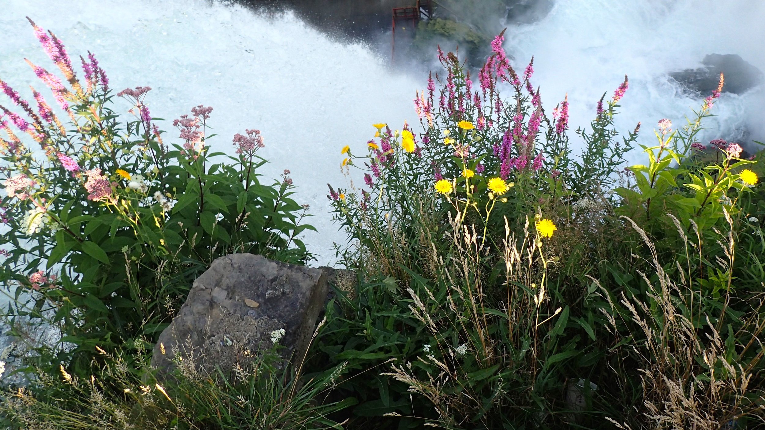 43_Niagara Falls_03.jpg