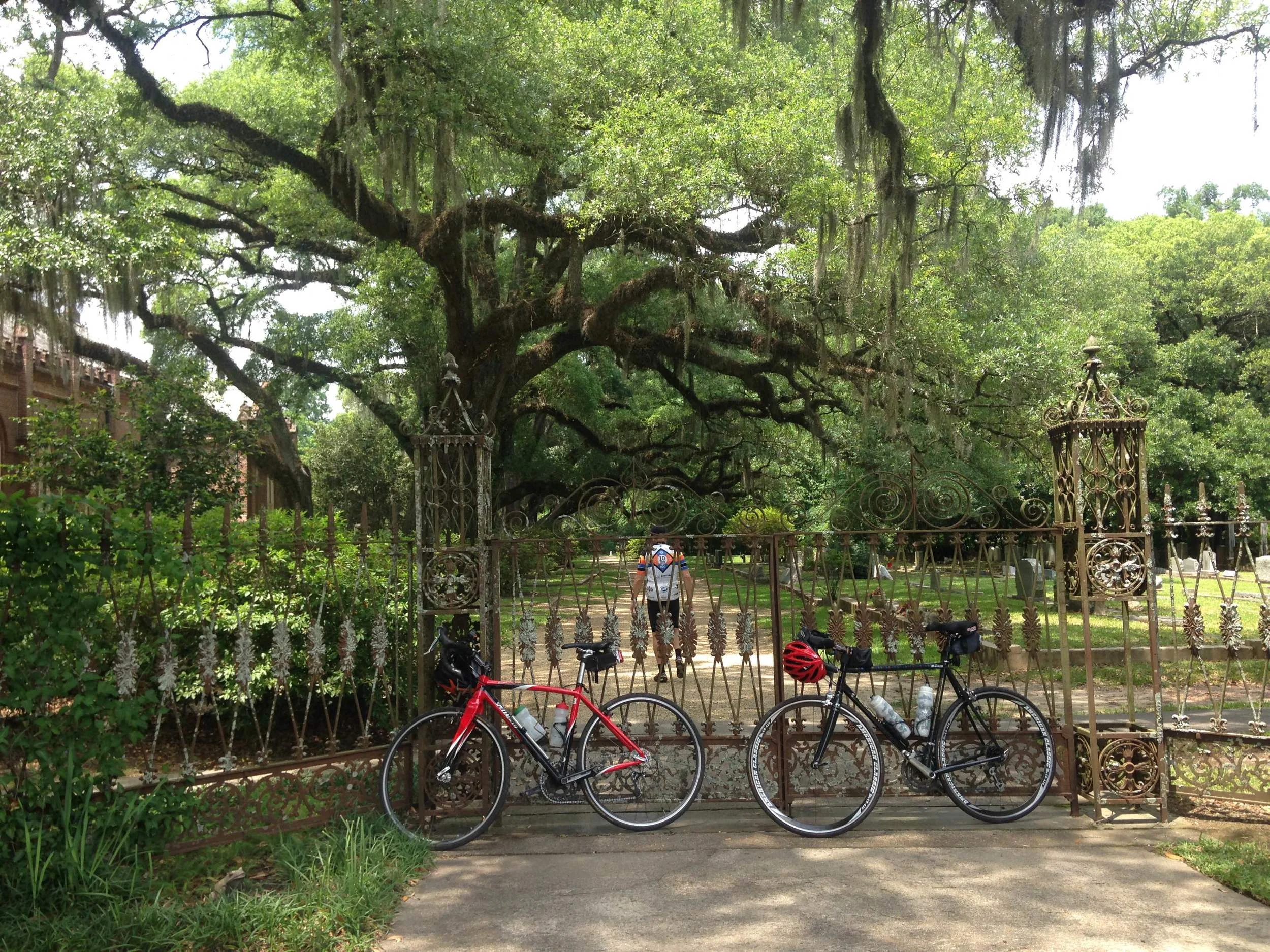 02 St Francisville 04.jpeg
