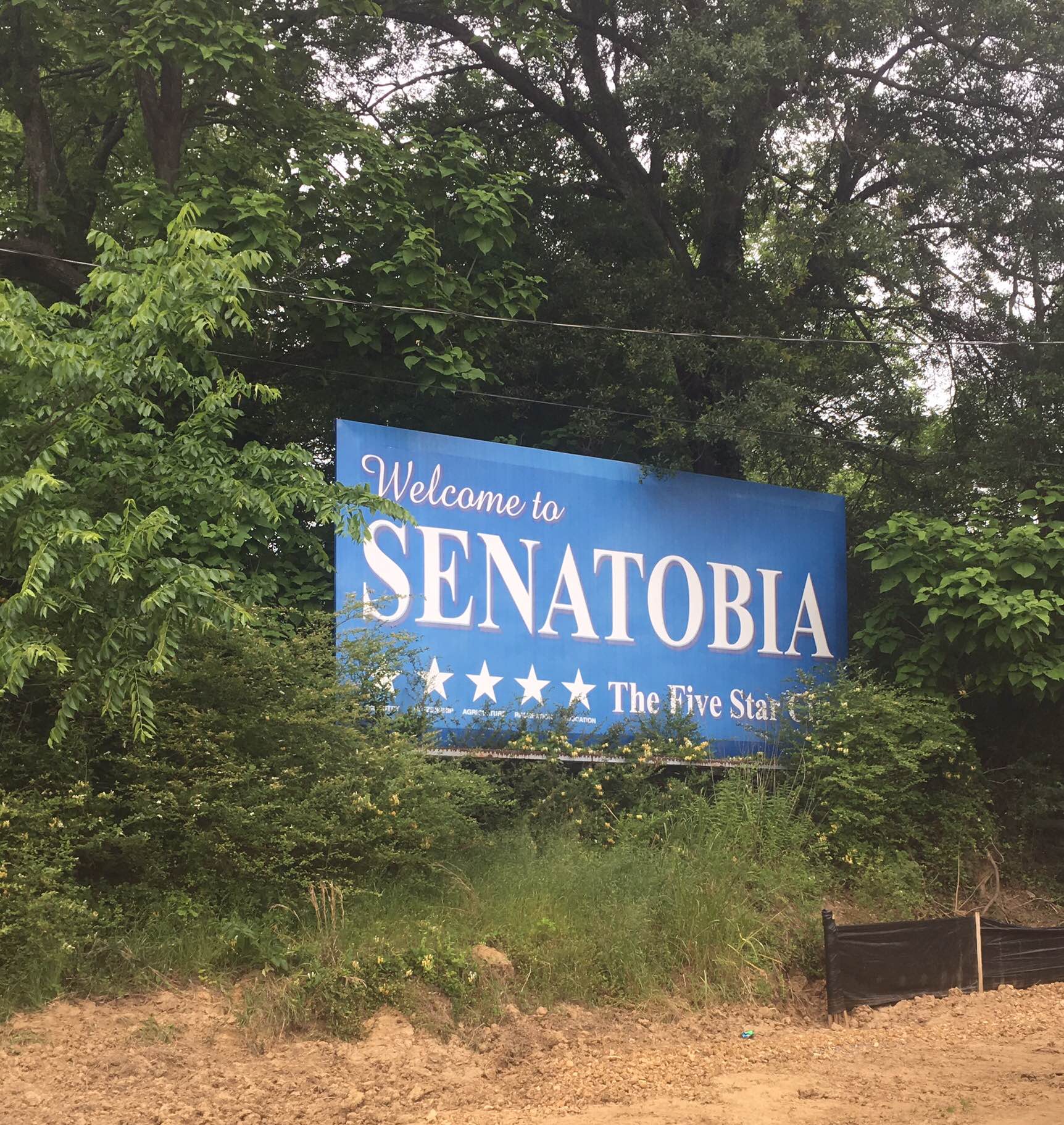 07 Senatobia 04.jpeg